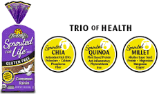 FOOD FOR LIFE EZEKIEL BREAD CINN/RAISIN