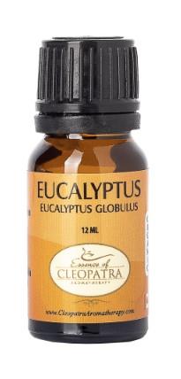 EOCA OIL EUCALYPTUS 12ml