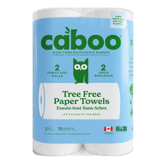 PAPER TOWELS - 2 ROLLS